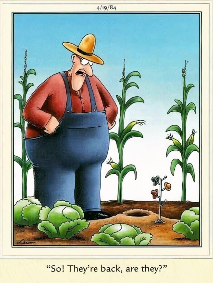 A farmer looking at a mini hat rack belonging to rabbits in The Far Side.