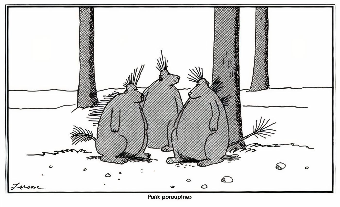 Porcupines with punk hair styles in The Far Side.