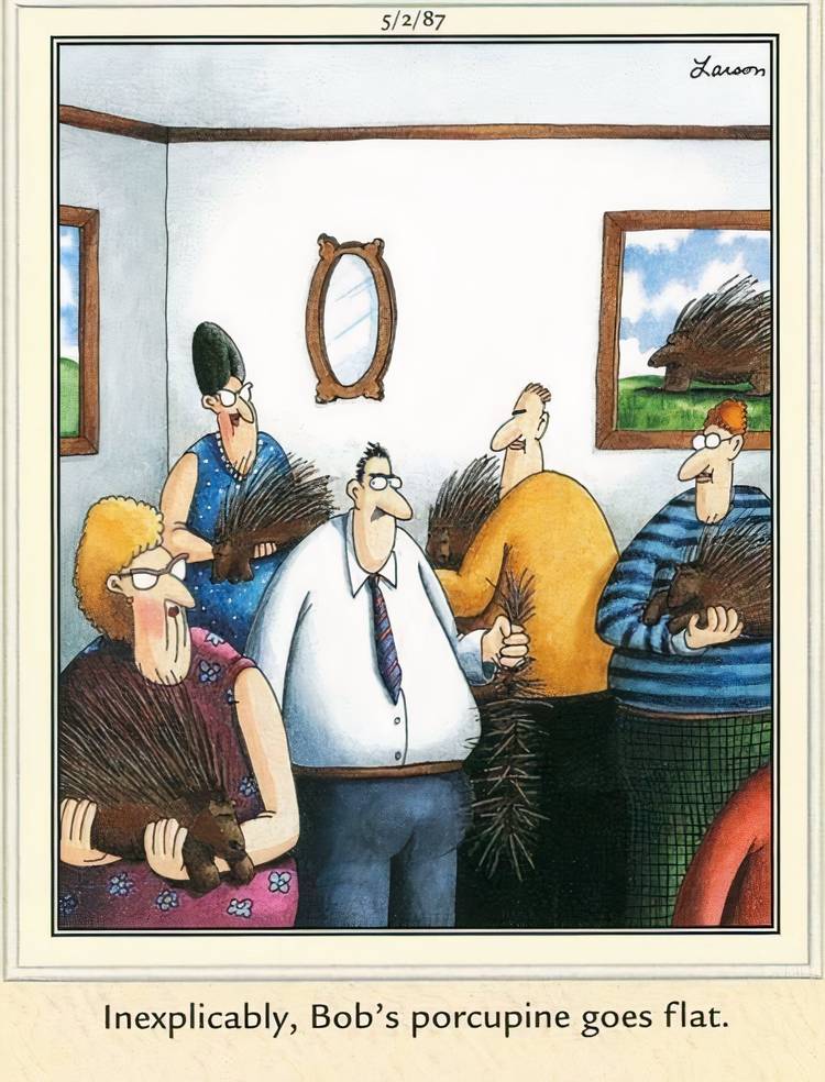 A group of people with their porcupines and one with a popped inflatable porcupine in The Far Side.