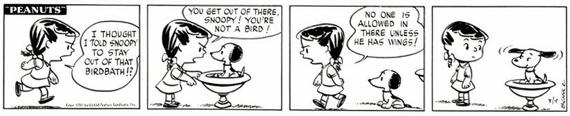 Snoopy pretending to be a bird sitting in a birdbath in Peanuts.