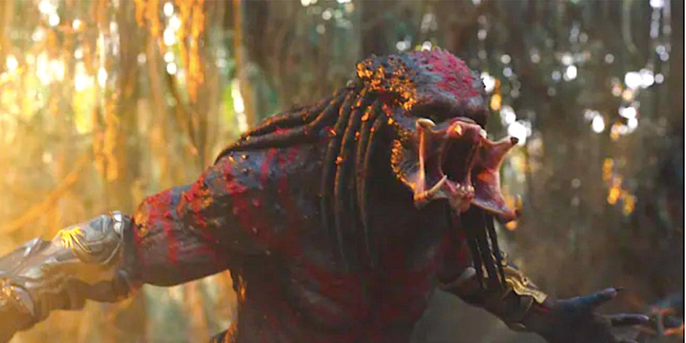 Why The Predator Doesn’t Kill Arnold Schwarzenegger’s Dutch Immediately