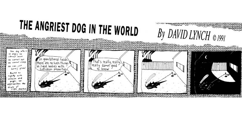 angriest dog in the world physics