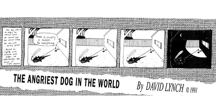 angriest dog in the world reason for everything