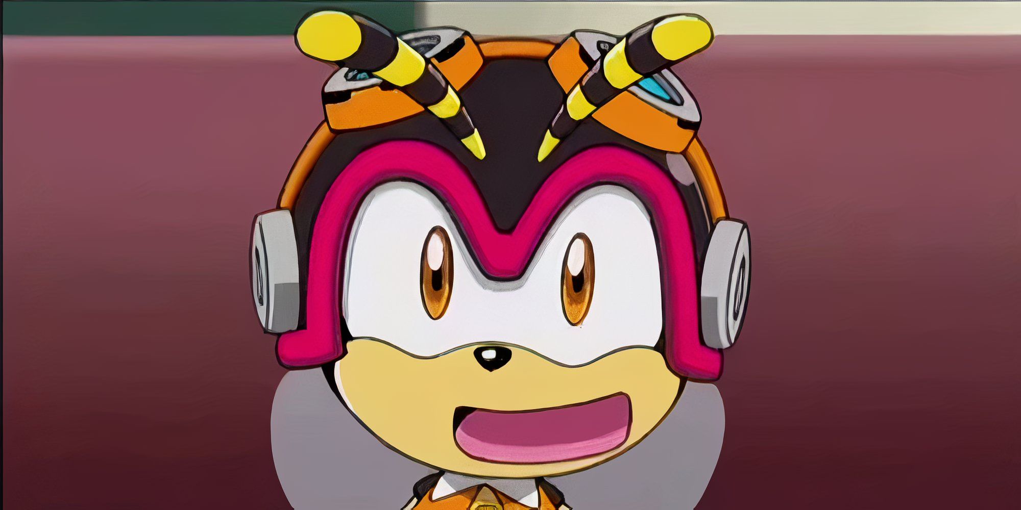 Charmy Bee sorrindo em Sonic X