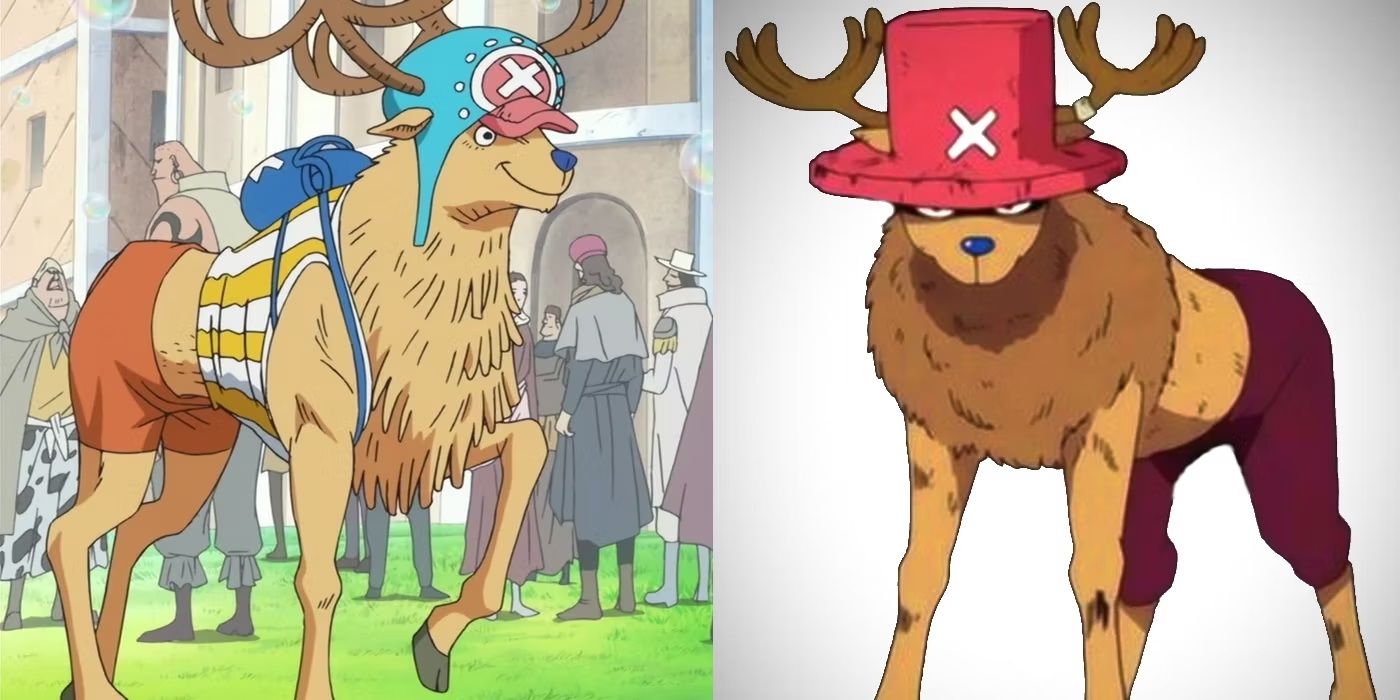 walk point chopper one piece