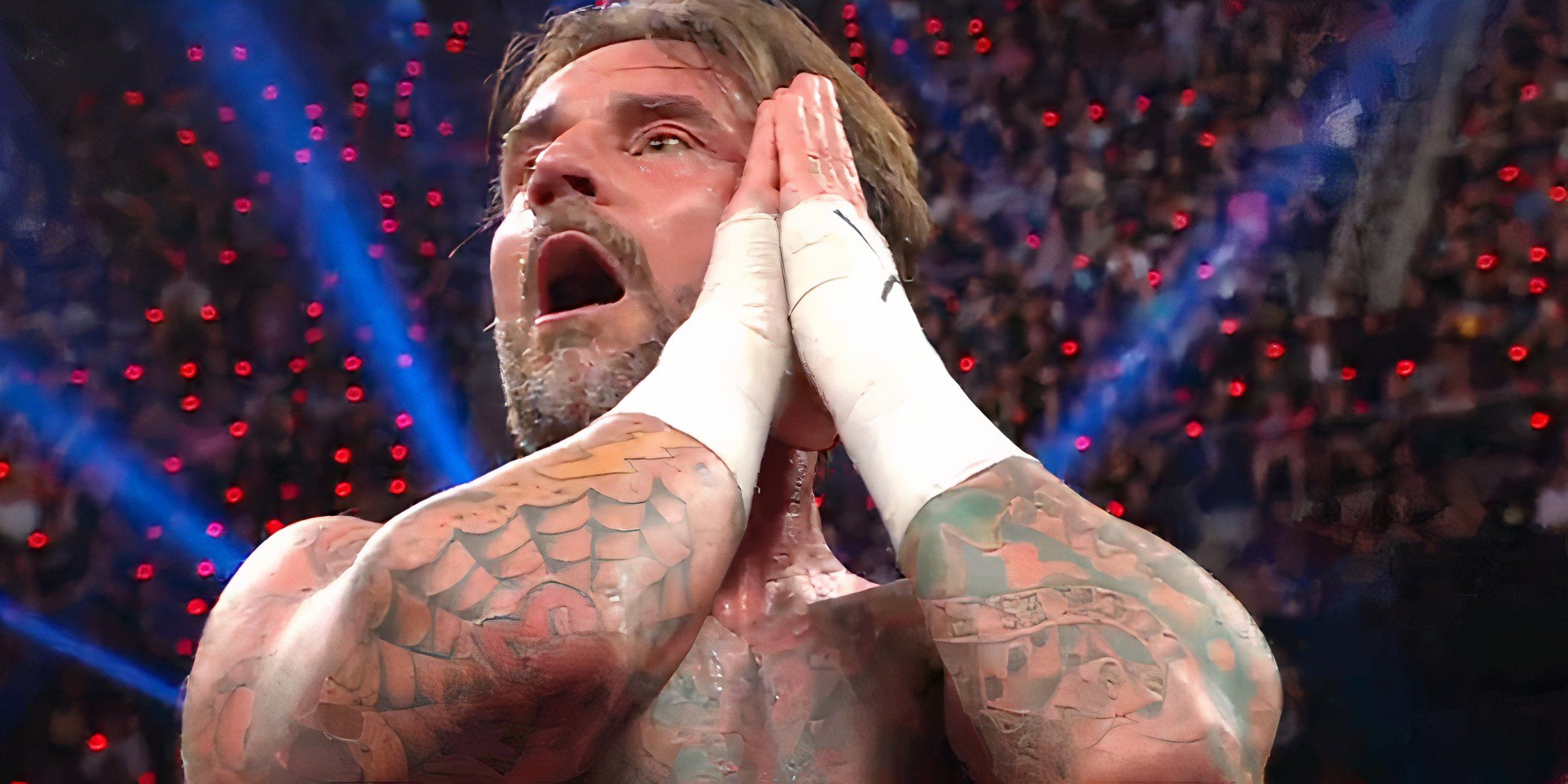 Cm Punk on WWE Raw