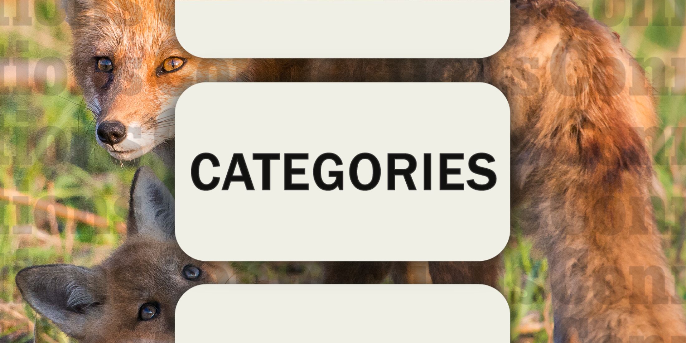 Fox in Connections Categories January 23