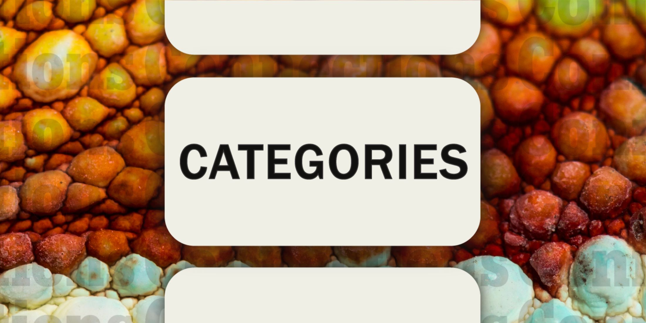 Scales in Connections Categories January 27