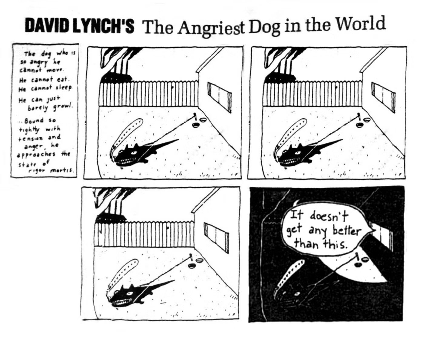 David Lynch, the most angry dog ​​in the world 5