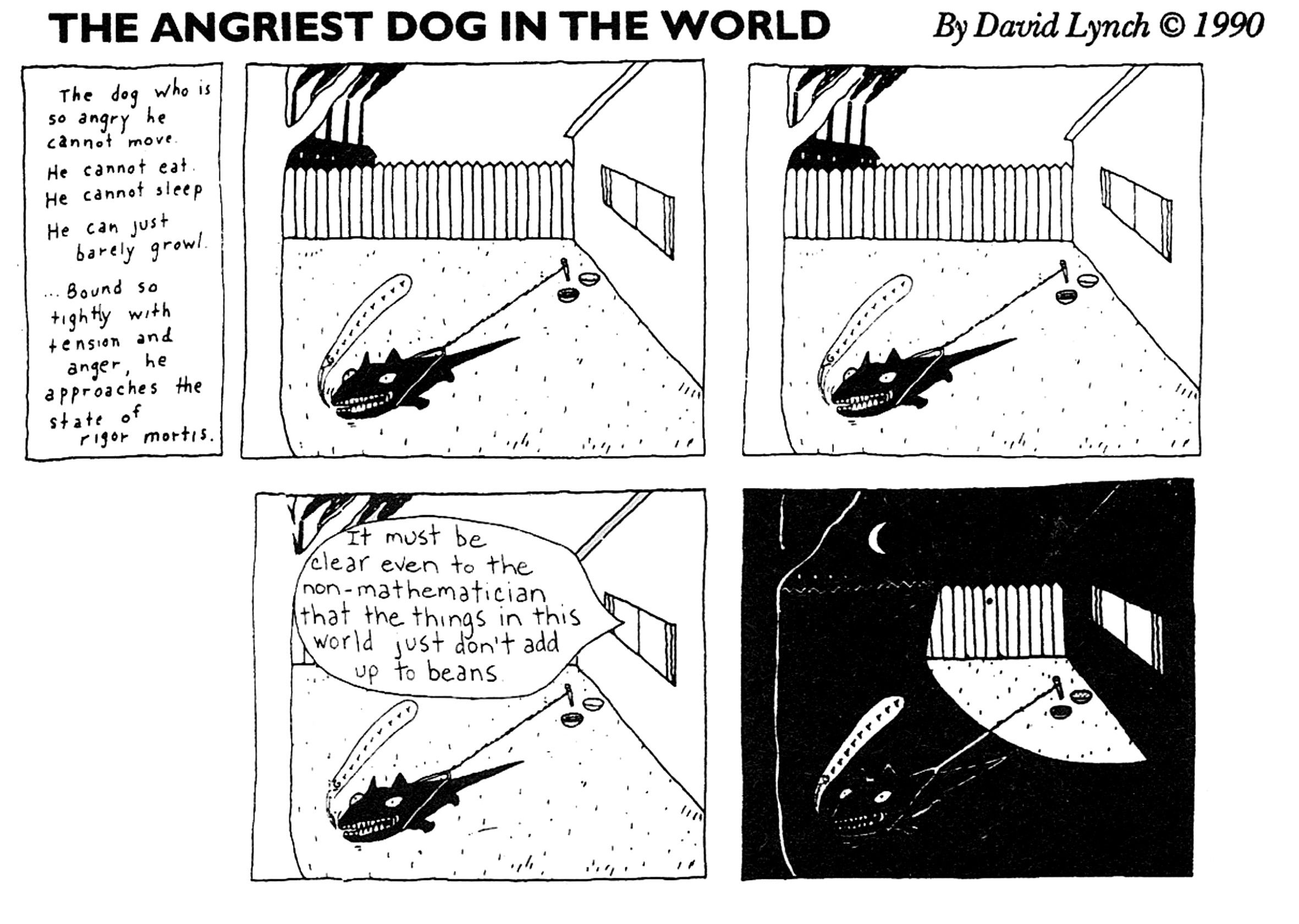 David Lynch's most angry dog ​​in the mathematical world-1