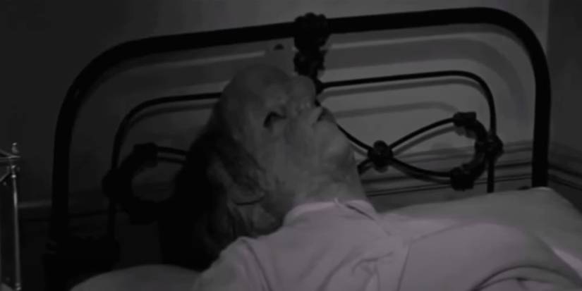 elephant man last sleep