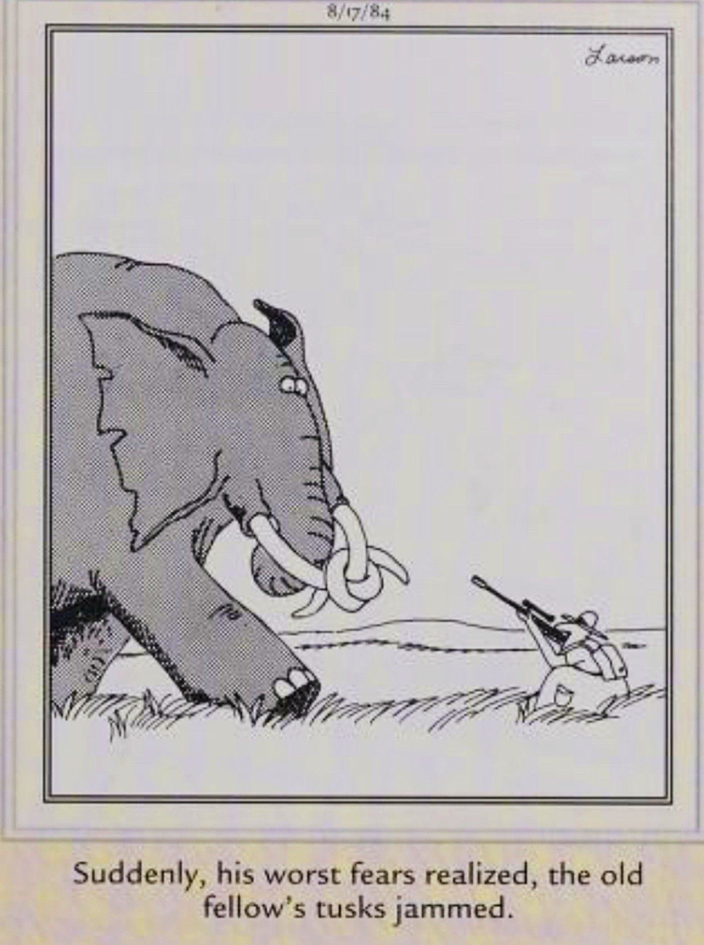 Far Side, August 17, 1984, an elephant's tusks tangle as he attacks a hunter with a rifle