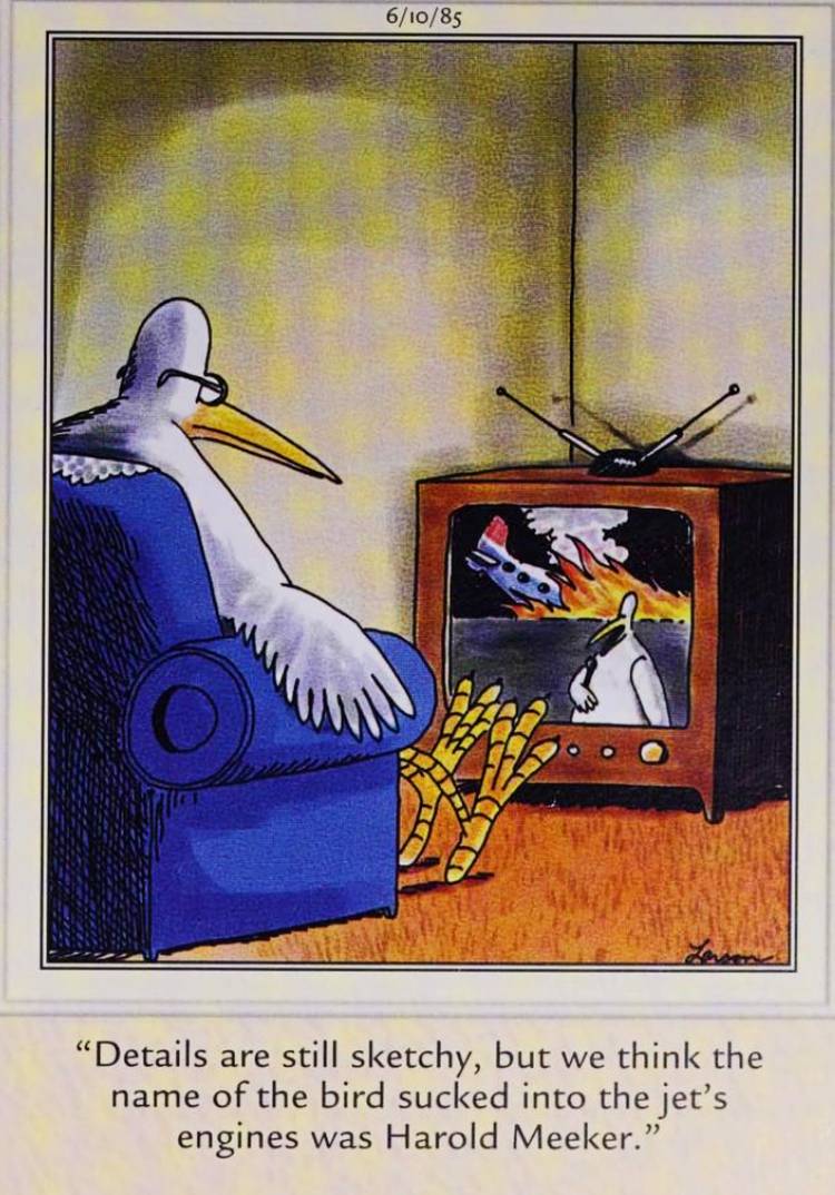 Far Side, June 10, 1985, a bird watches news footage of a plane crash caused by another bird