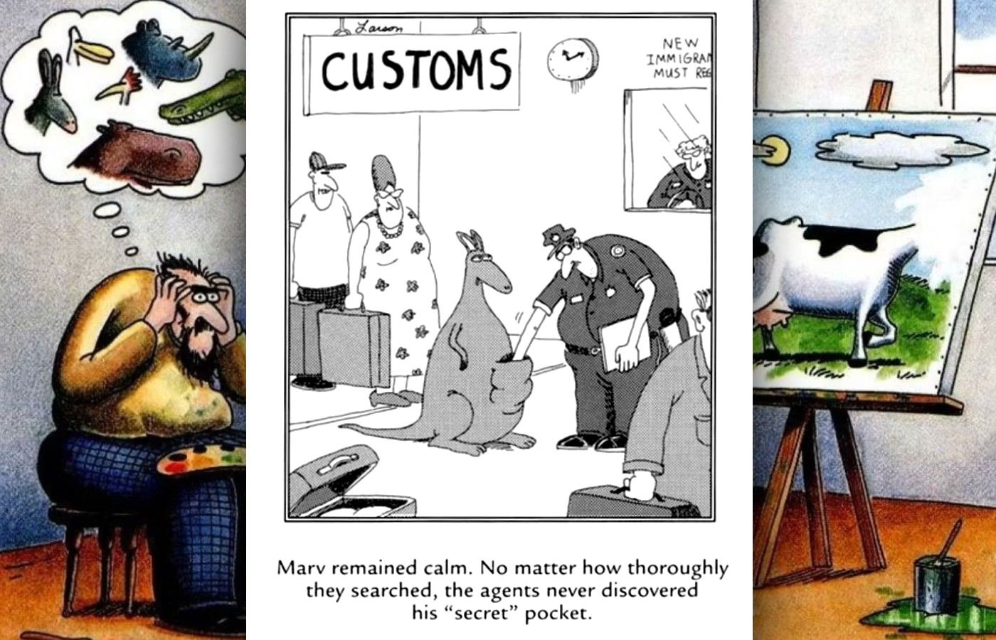 far side kangaroo at customs