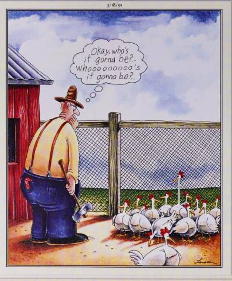 Far Side, March 18, 1991, a farmer tries to decide which chicken to behead next