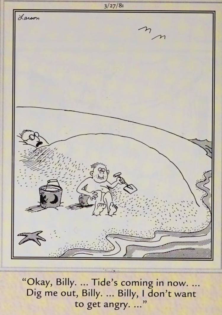 12 Far Side Comics From 1981 That Make You Go 