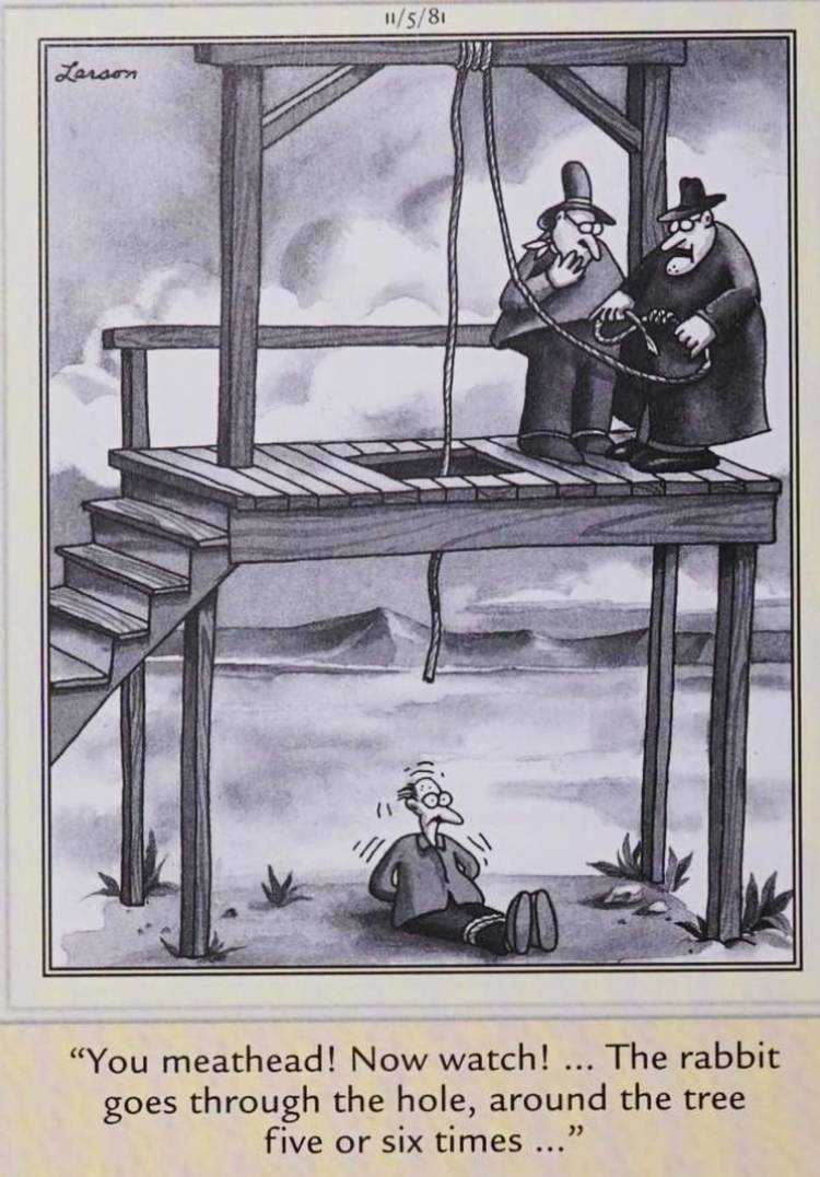 Far Side, November 5, 1981, a man survives hanging after the executioner improperly ties a knot