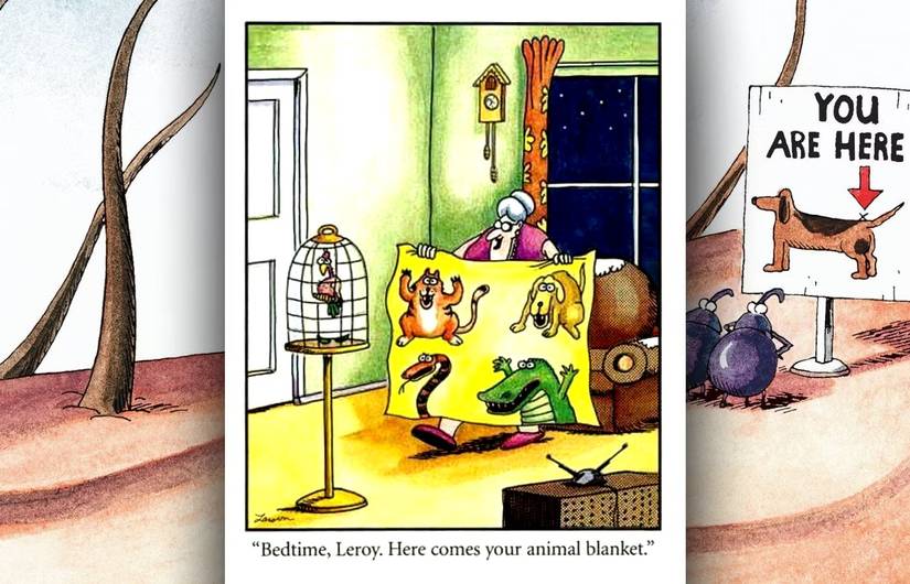 far side pet bird comic