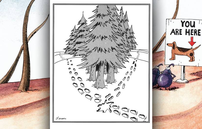 FAR SIDE WORDLESS COMIC