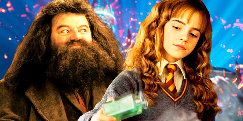 Harry Potter - Rubeus Hagrid and Hermione Granger