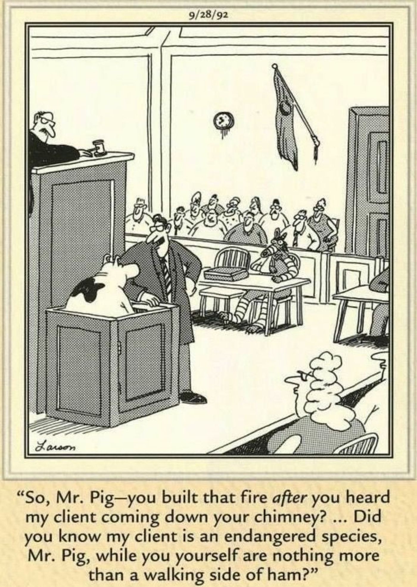 Far Side, um porco em um tribunal.