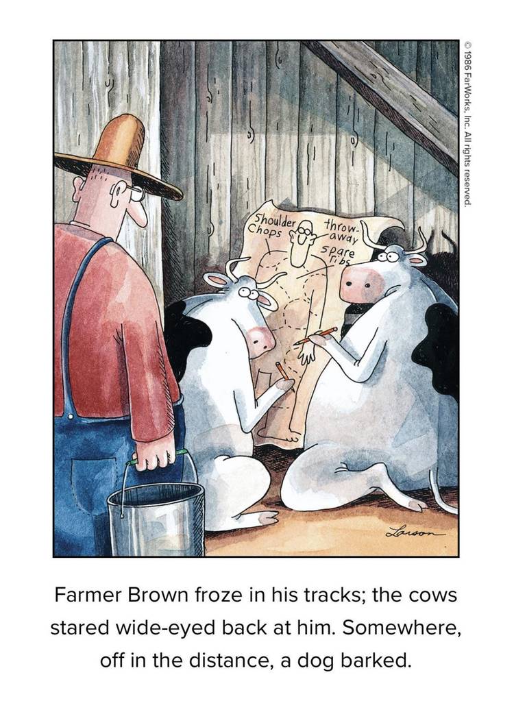 The Far Side, cows with a drawing of the farmer's body when the farmer walks in.