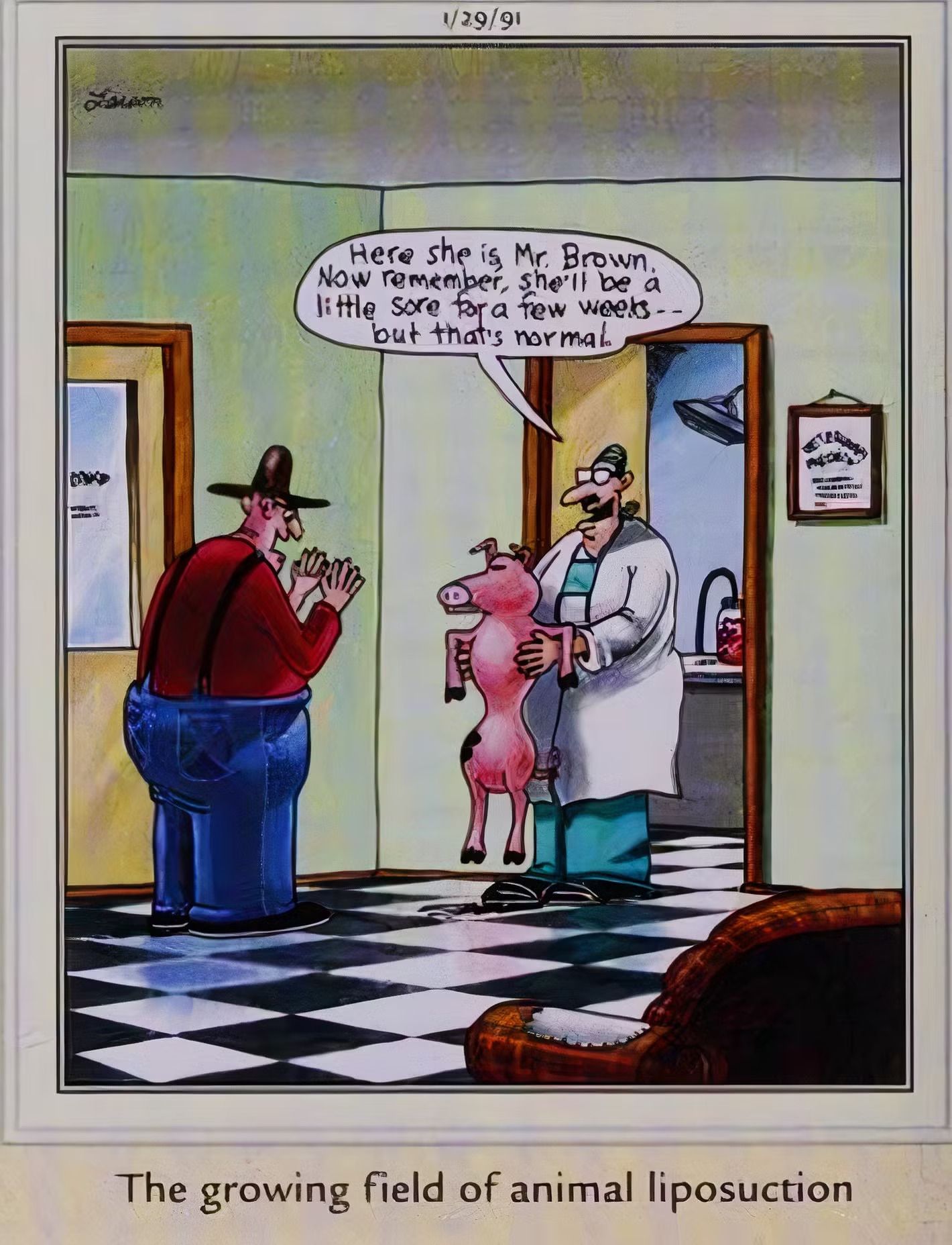 Far Side, um porco magro sendo assaltado por um médico.