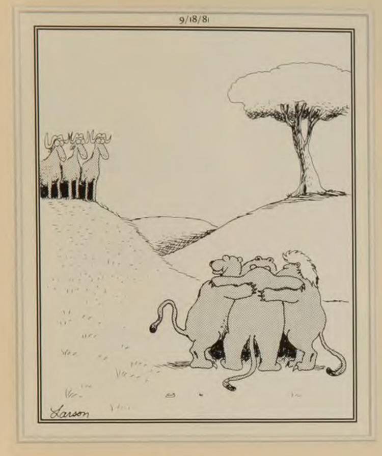 The Far Side, lions in a team huddle while looking at prey.