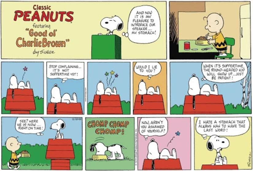 Peanuts strip: Snoopy eating his food very fast.