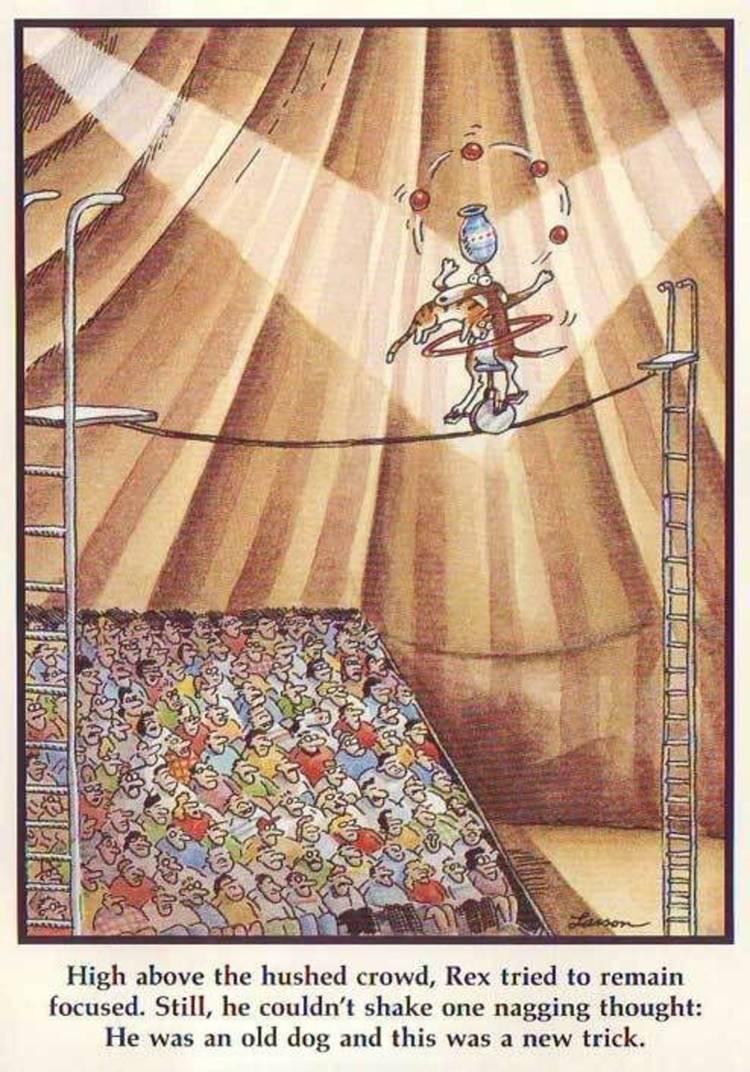 The Far Side, a dog on a tightrope in the circus.