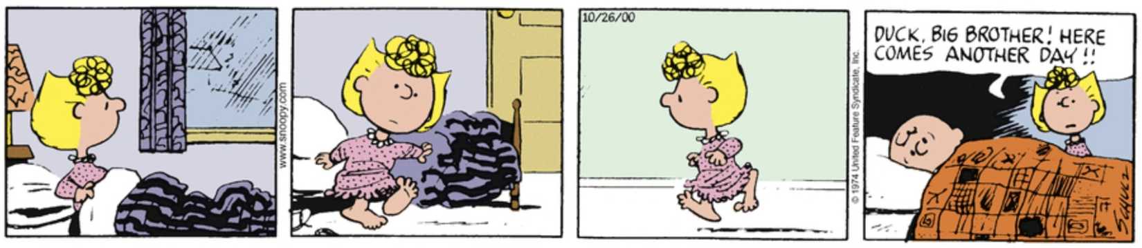Peanuts strip: Sally waking up Charlie Brown.