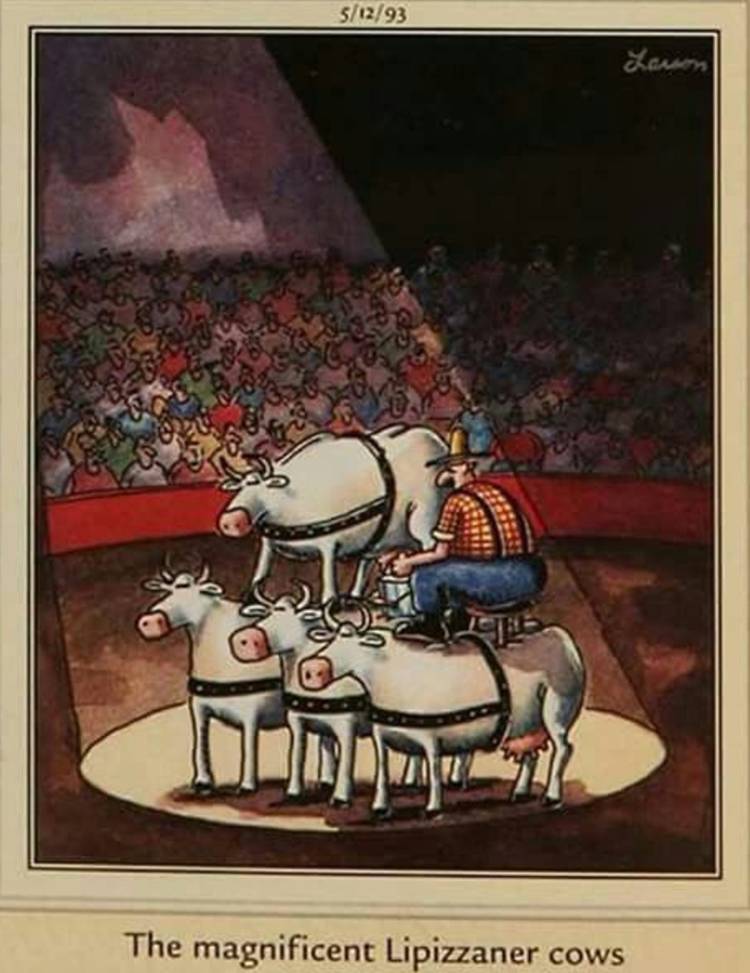 The Far Side, cows stacked on each other with a farmer milking the top one at a circus.