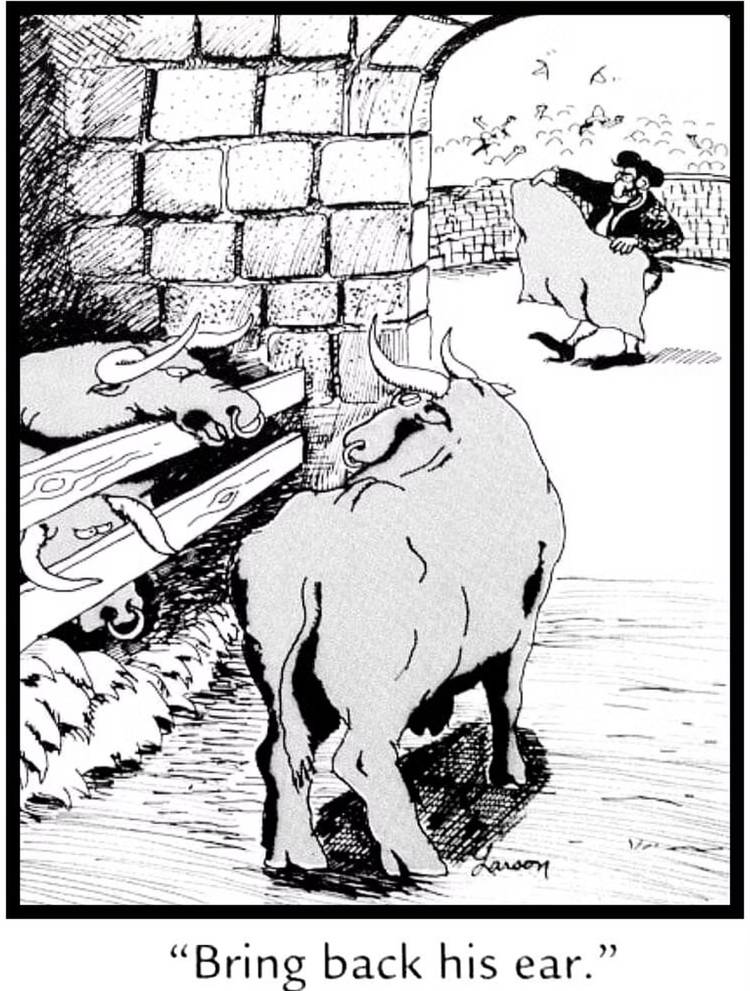 The Far Side, two bulls staring at a bullfighter.