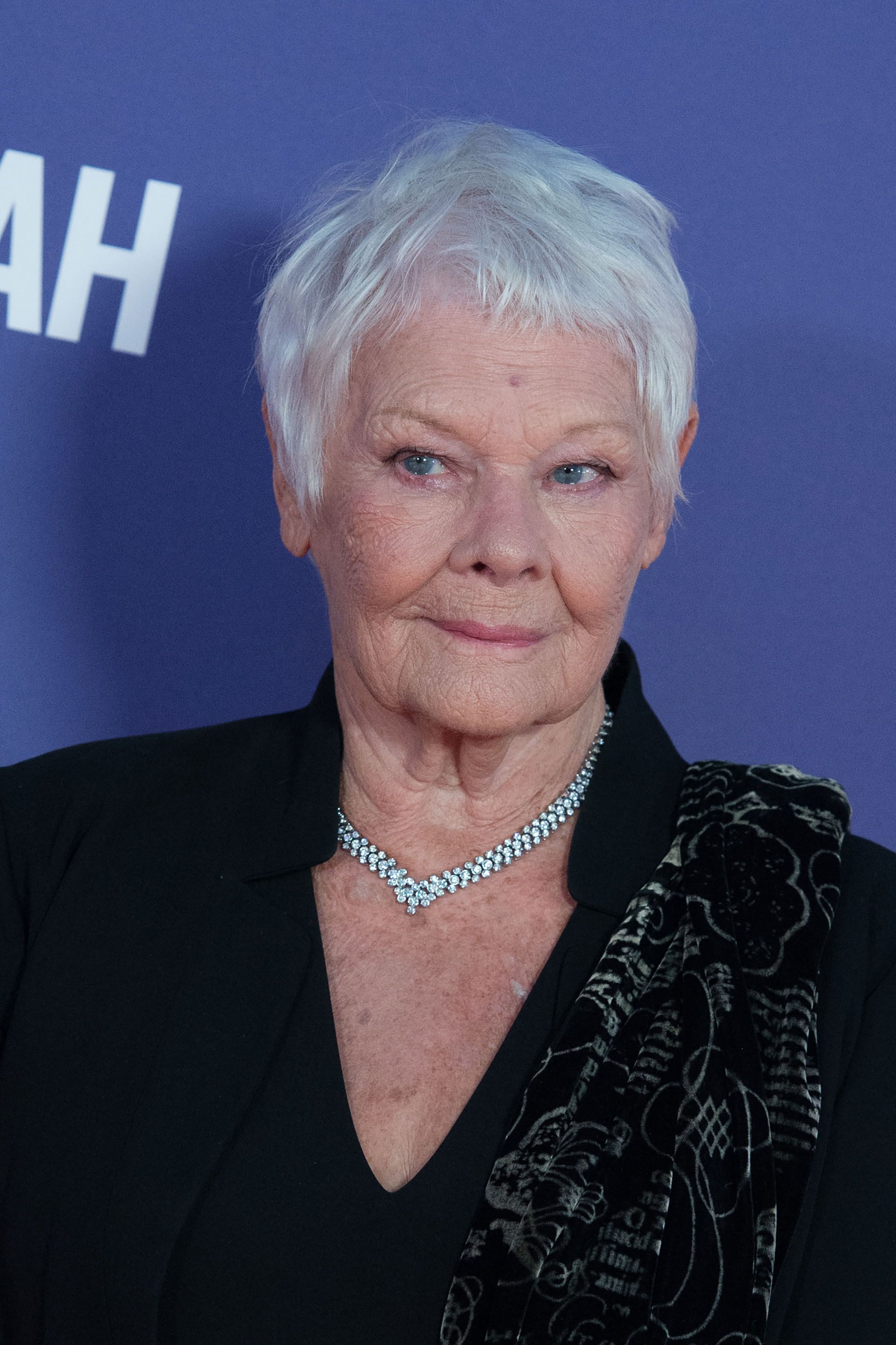 Headshot Of Judi Dench