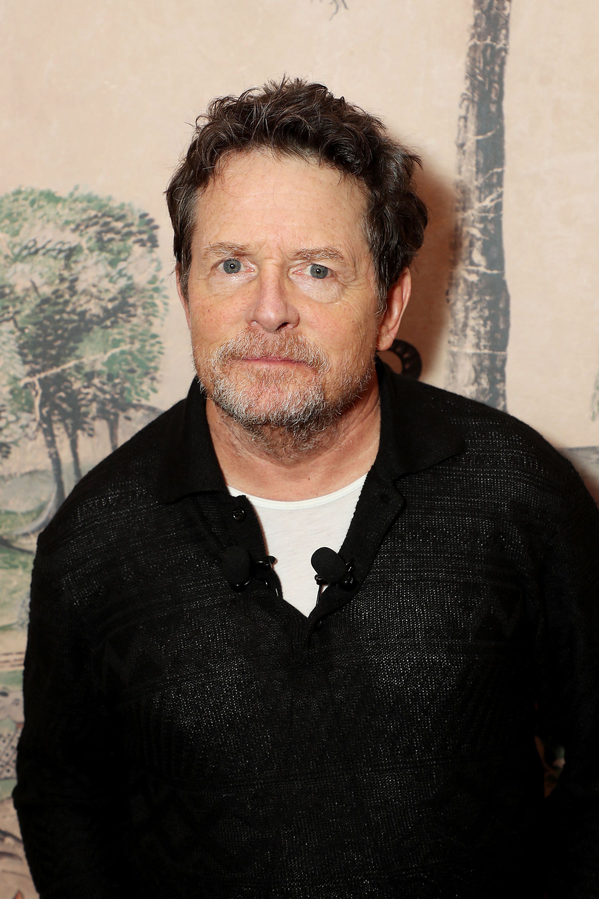 Headshot Of Michael J. Fox