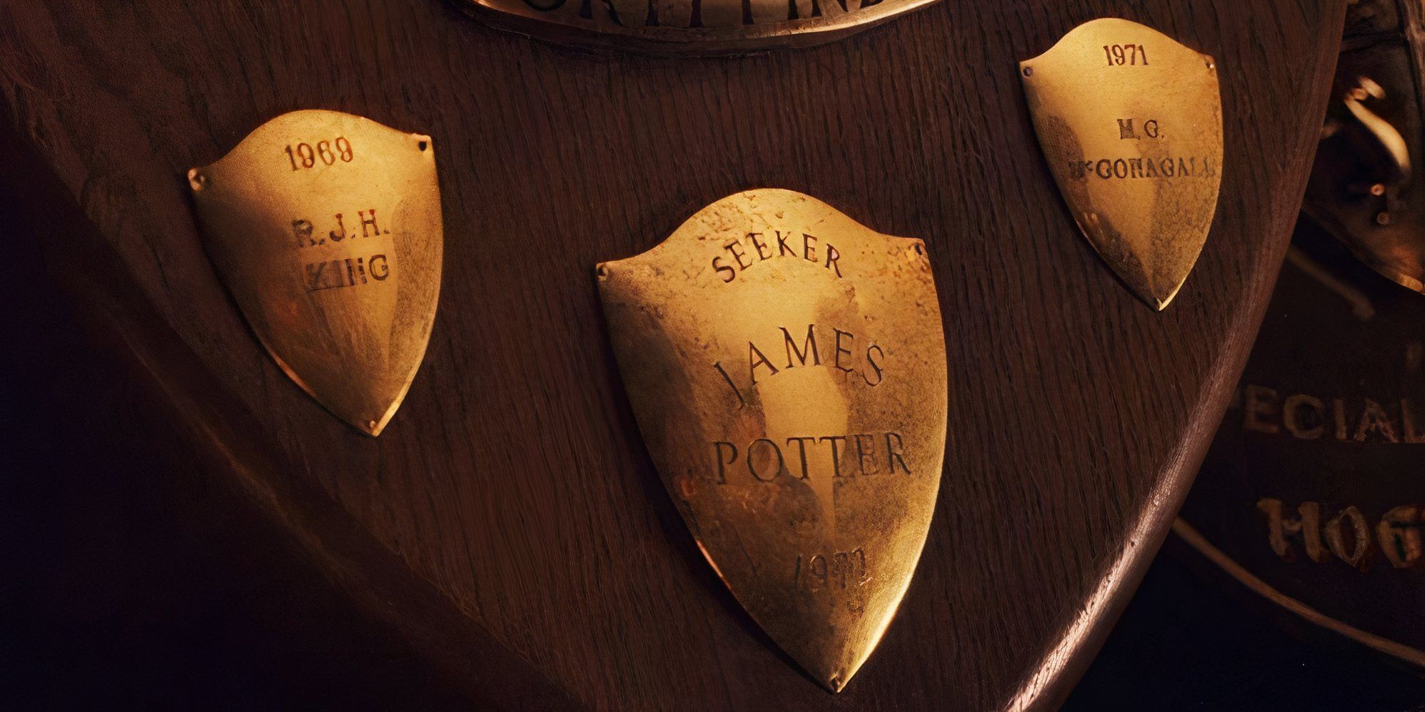 James Potter seeker quidditch badge in Harry Potter