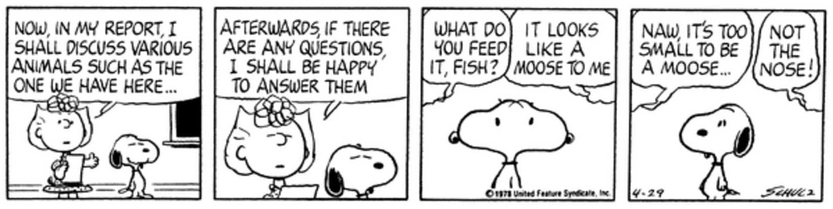 Peanuts strip: Sally giving her report presentation with Snoopy.