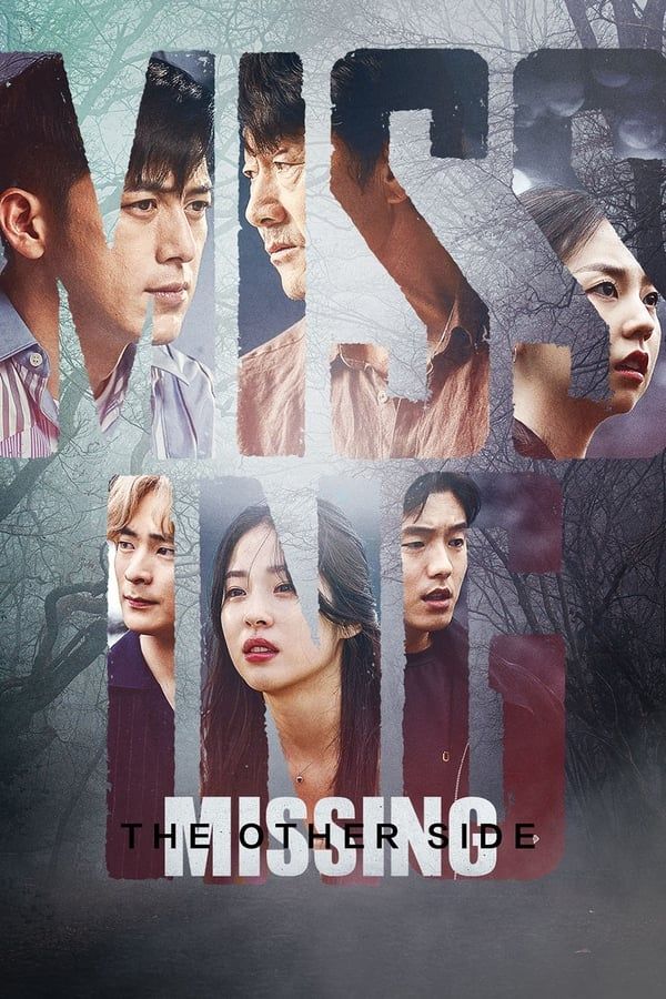 MIssing The Other Side poster