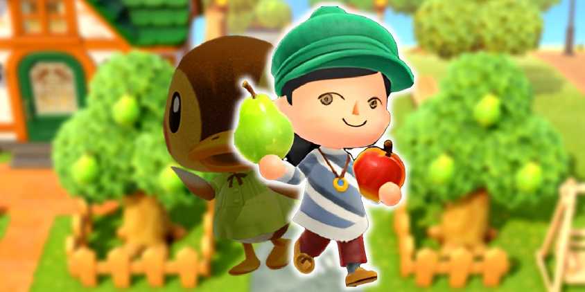 molly the duck behind a player holding fruit in animal crossing new horizons
