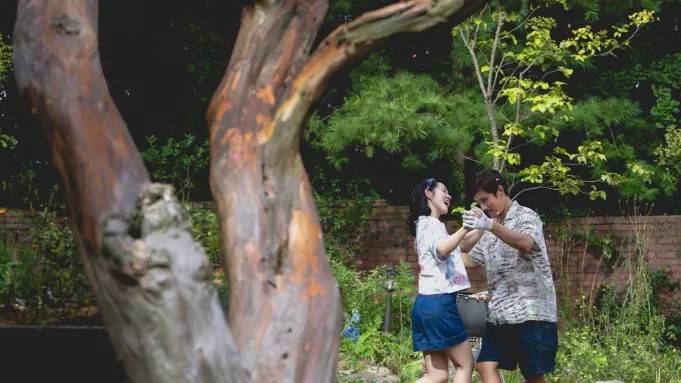 No Other Choice Park Chan-Wook Lee Byung-hun and Son Ye-jin dancing in a yard
