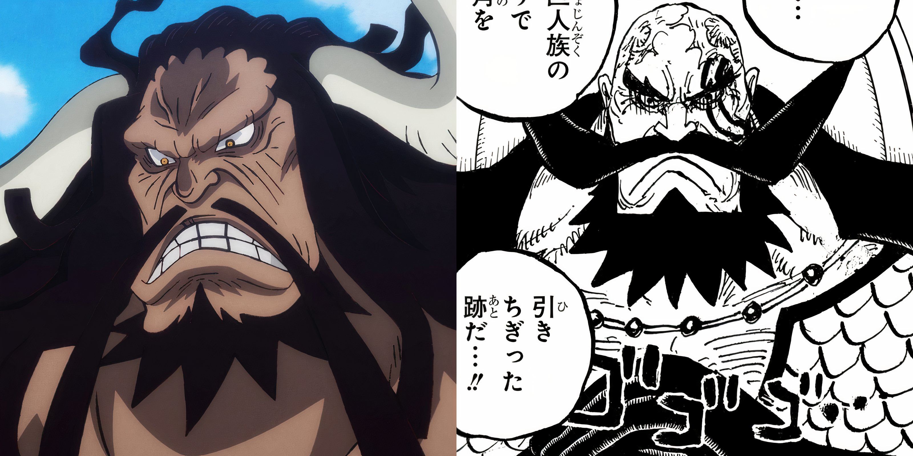 A comparison between Kaido and Harald