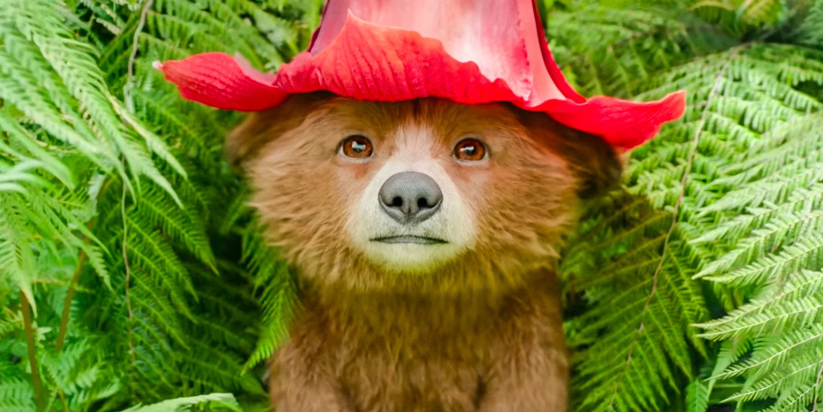 Paddington Cub using a flower as a hat in Paddington in Peru