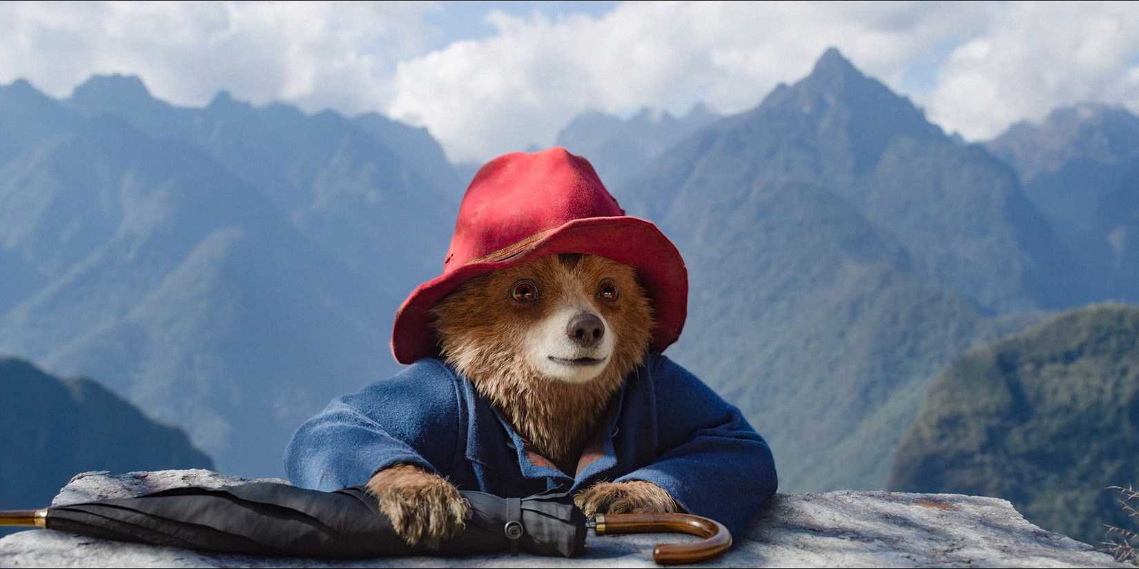 Paddington reaching the top of a mountain in Paddington in Peru