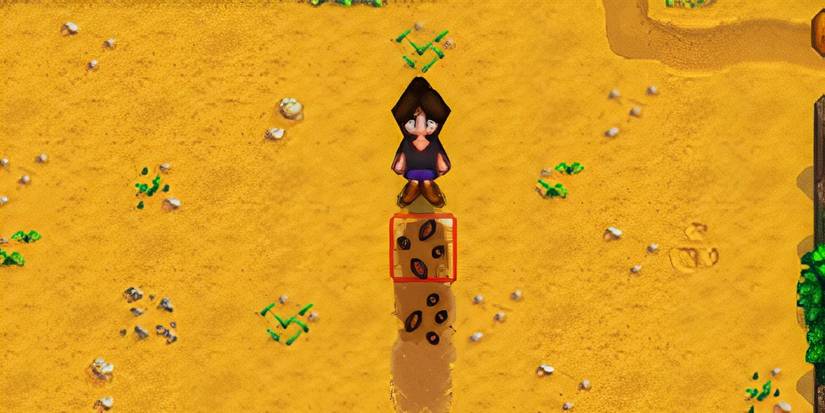 Player Planting Carrot Seeds In Stardew Valley.