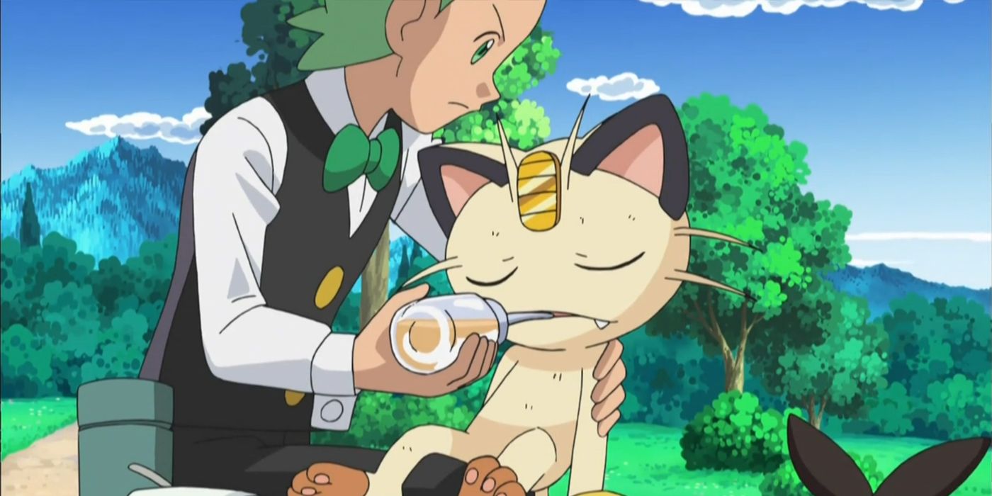 Cilan cares for Team Rocket's Meowth after finding him injured.