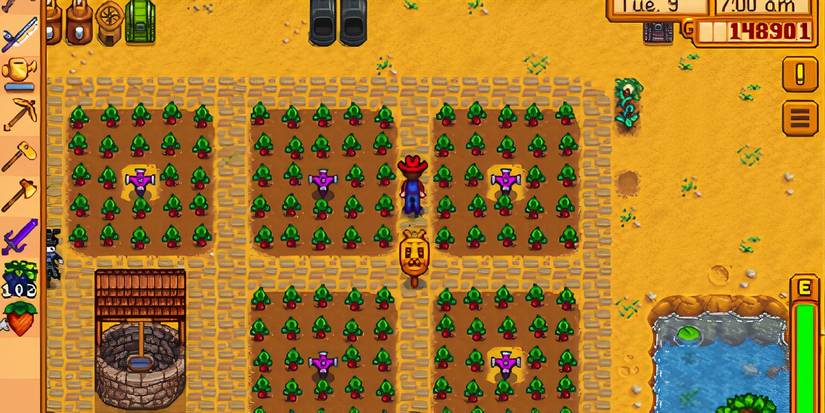 Rhubarb Ready To Harvest in Stardew Valley.