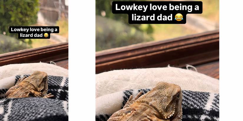 Syngin Colchester from 90 Day Fiance Instagram Story about becoming lizard dad