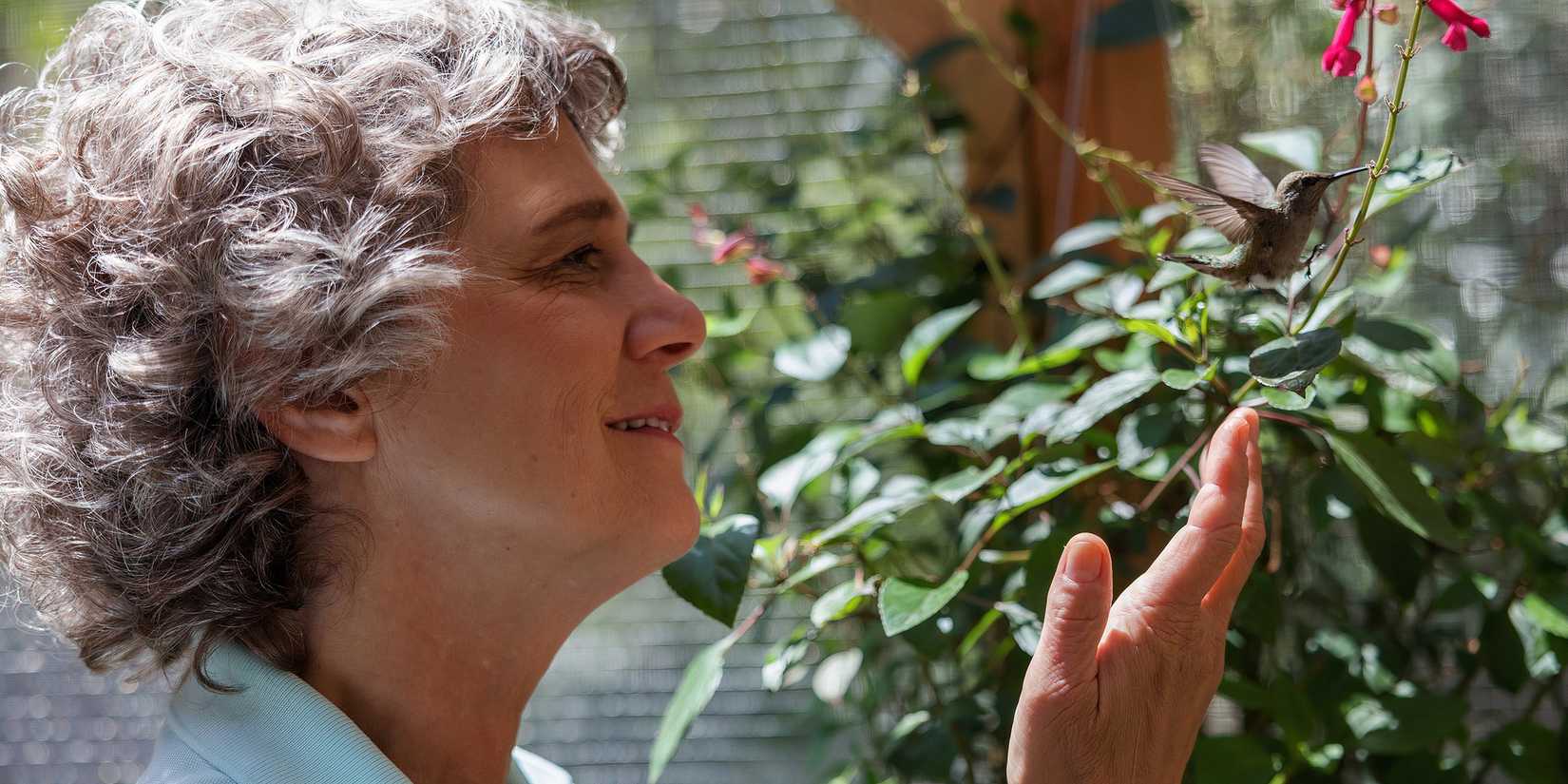 Terry Masear holding her hand under a bird as it flies in Every Little Thing