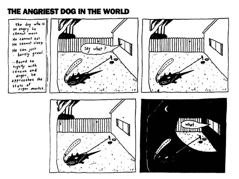 the angriest dog in the world say what