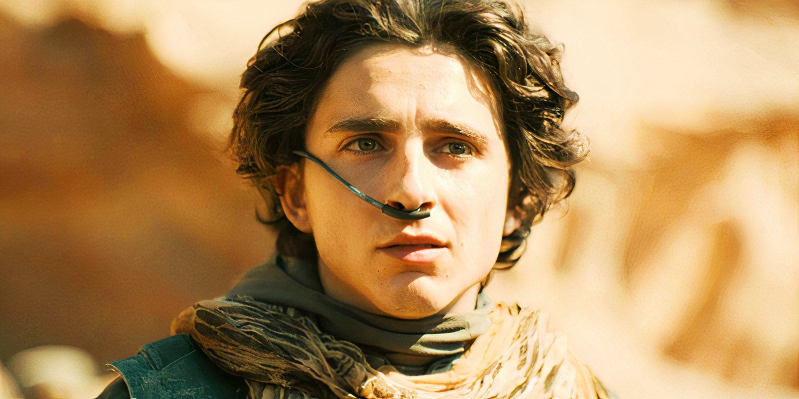 Timothée Chalamet looking cautiously optimistic as Paul Atreides in Dune Part Two